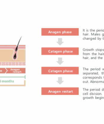 Hair Loss Solution | A-SCAL Exosome Stem Cell 3ml x 5 for Scalp & Hair Regeneration - Image 4